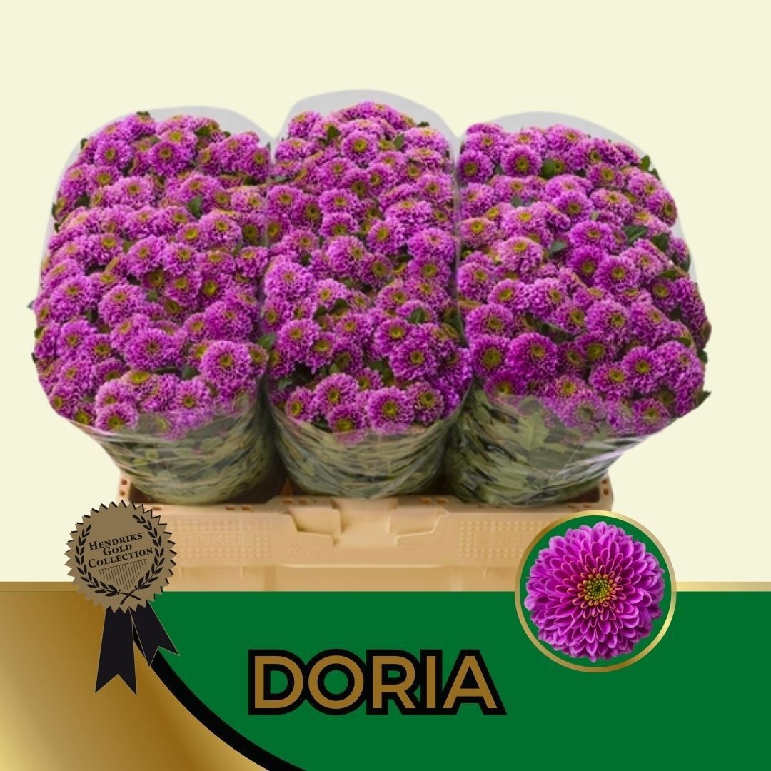 Chrys Santini Doria 55cm 130Ø