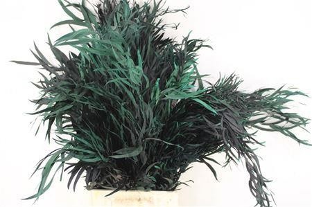 Dried/preserved Flowers Misc 70cm 150gram