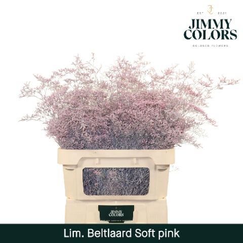 Lim Bel L90 Soft Pink