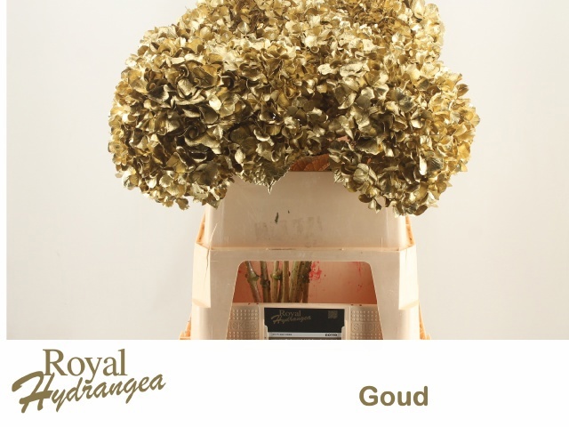 Hydrangea Painted 80cm 23Ø