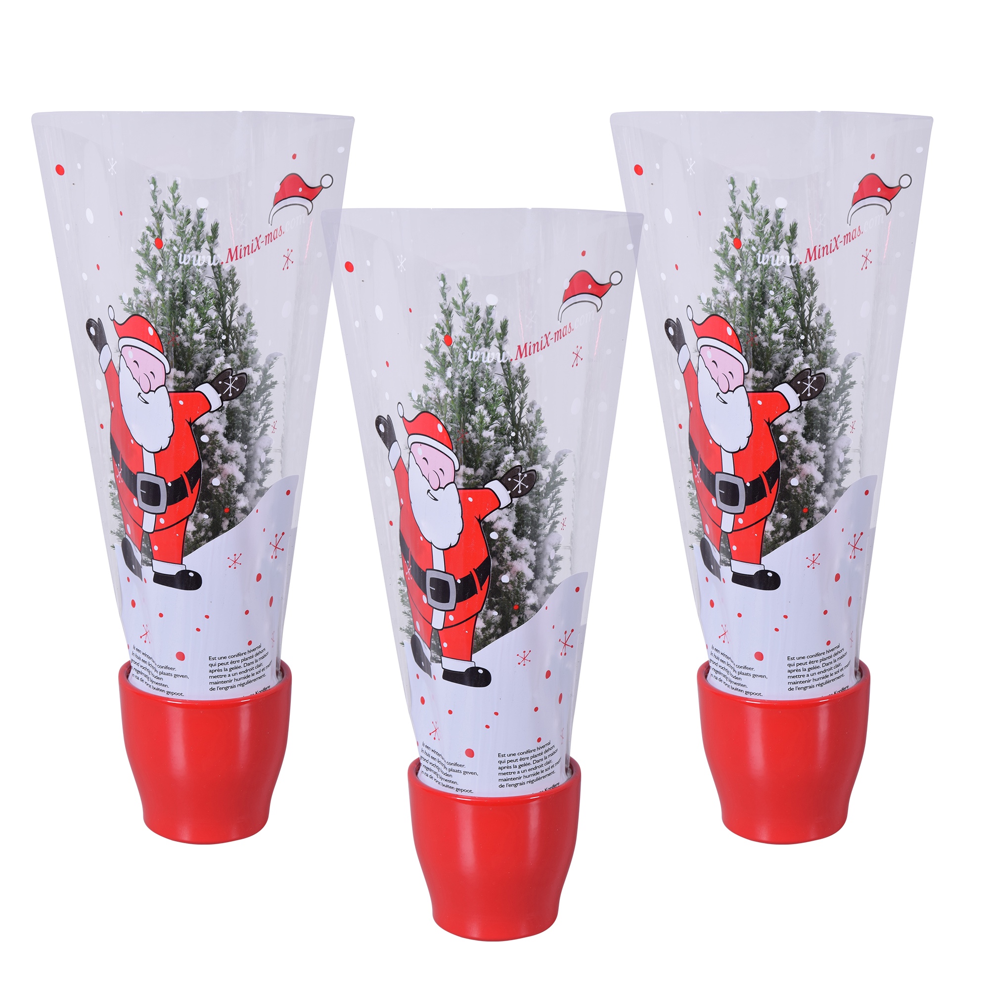 Picture of Ellwoodii with snow in Xmas sleeve in red ceramic P9 35CM