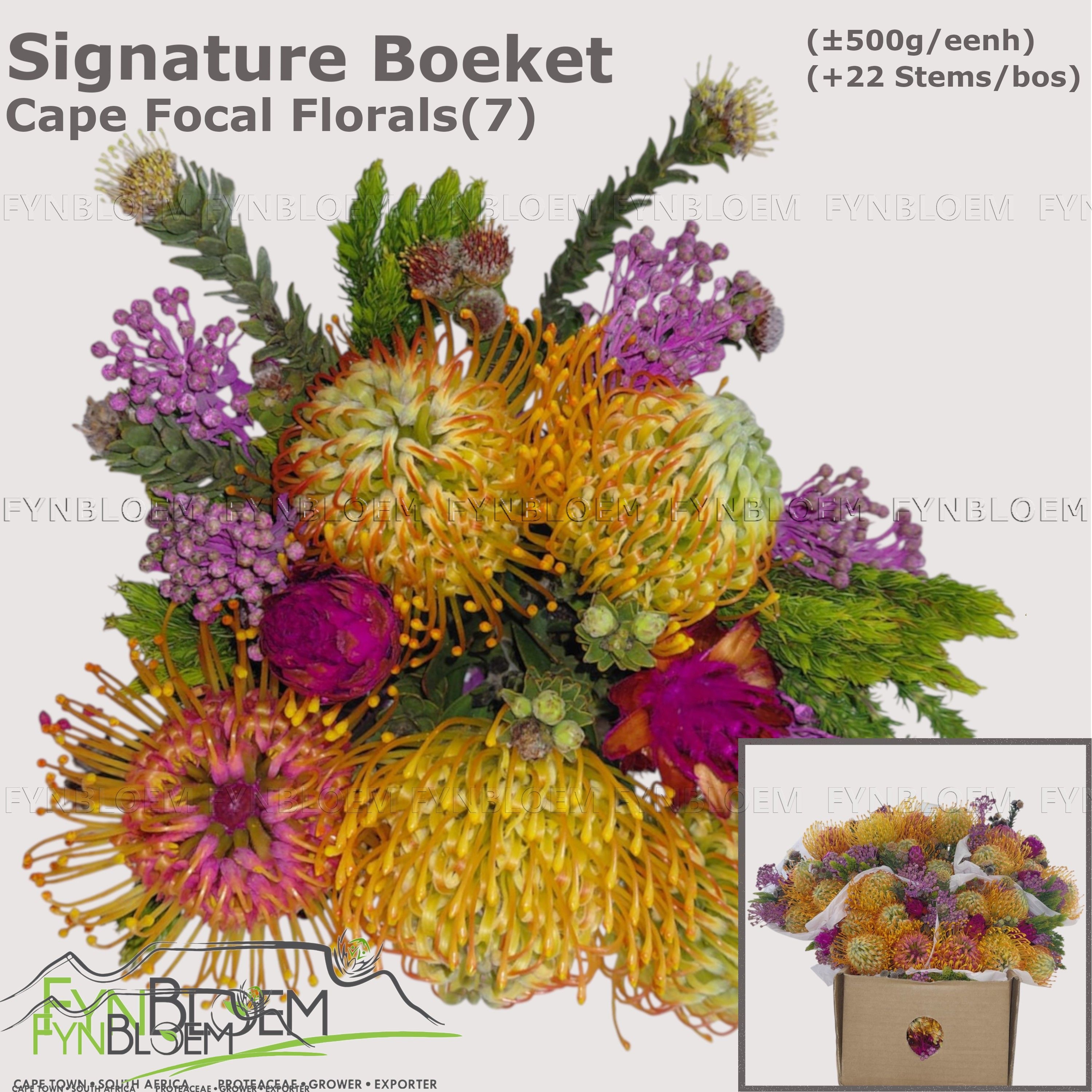 Protea Bouquet Per Bunch 40cm