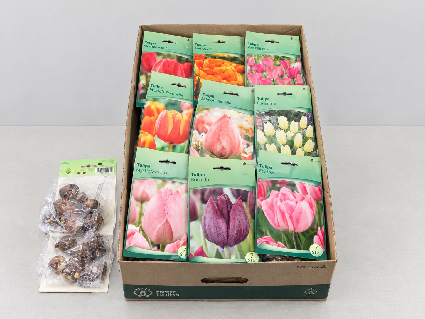 Bloembol Tulipa