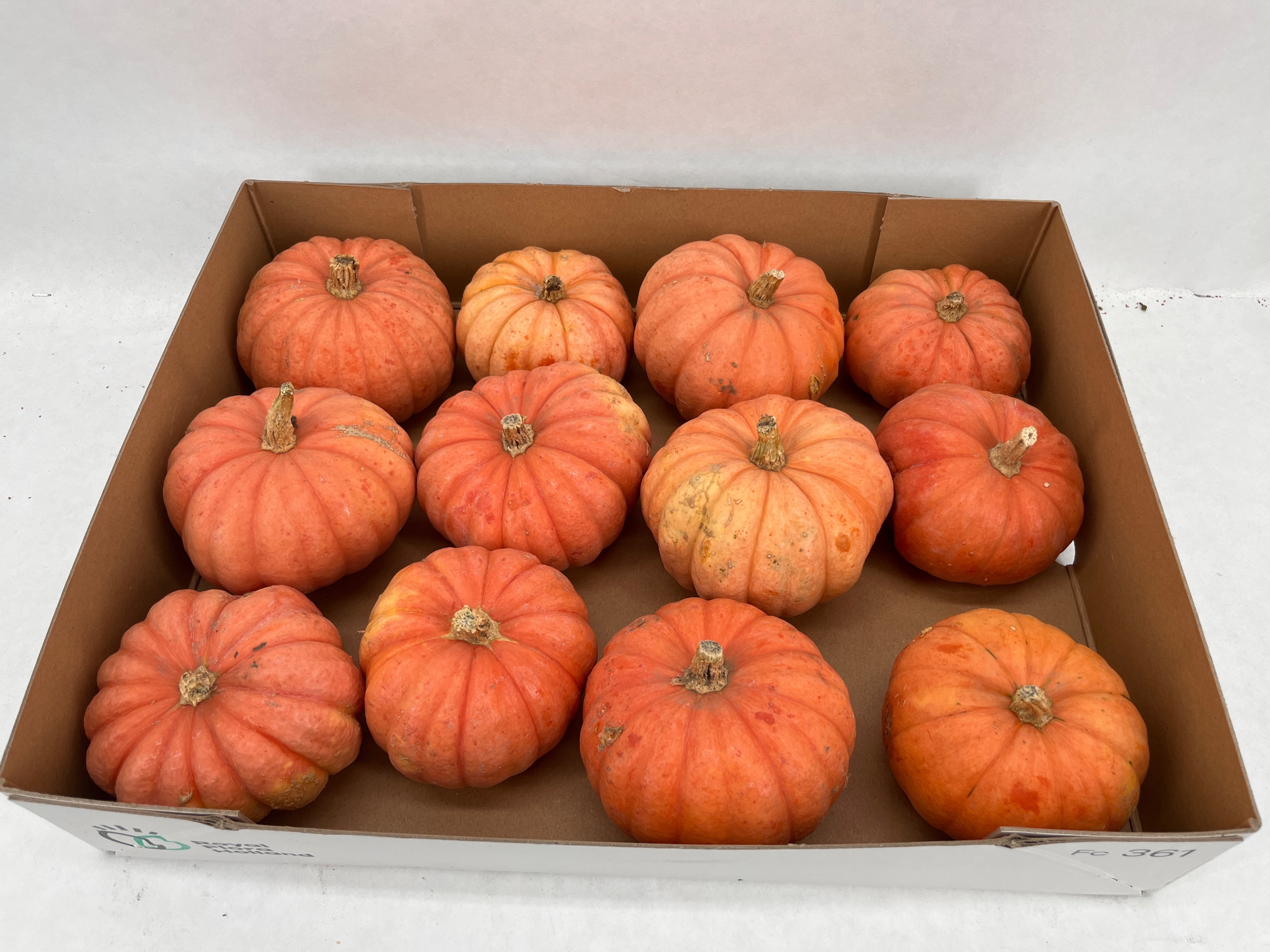 Ornamental Fruits Per Piece