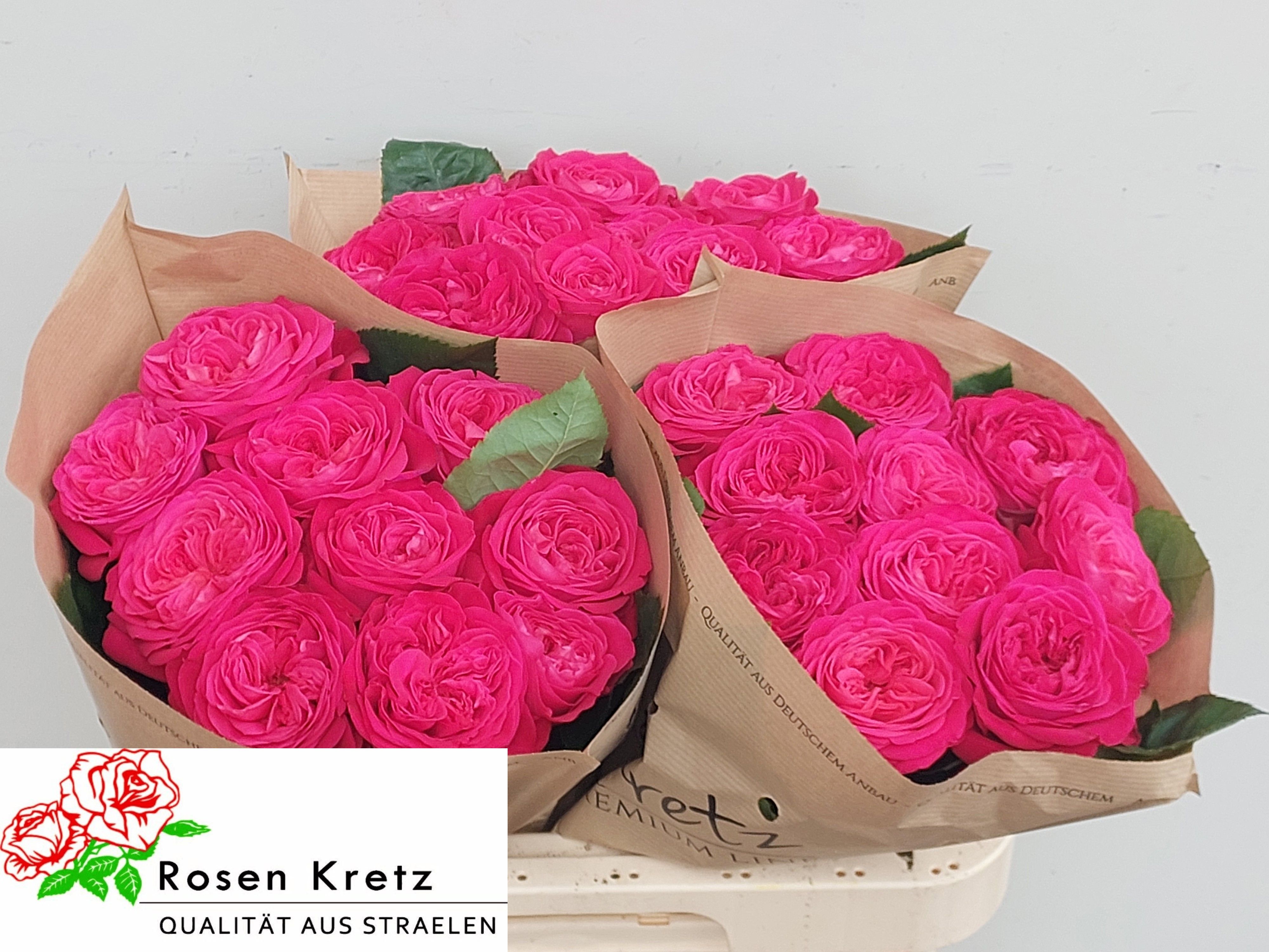 R Gr Girlfriend