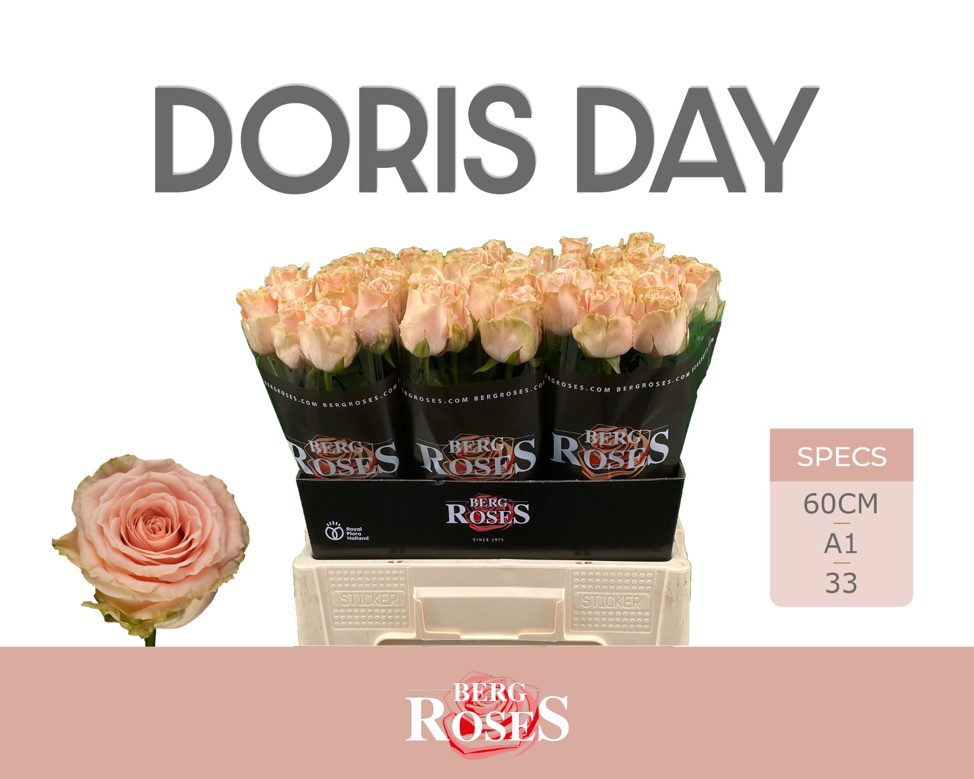 R Gr Doris Day