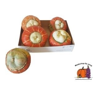 Cucurbita maxima Turk's Turban Mix - Overig sierfruit