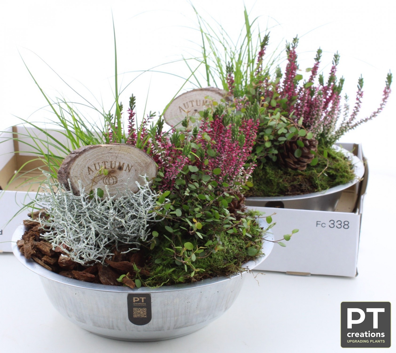 Arrangement Garden Plants 29Ø 28cm