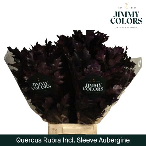 Quercus Rubra Sleeve L80 Aubergine
