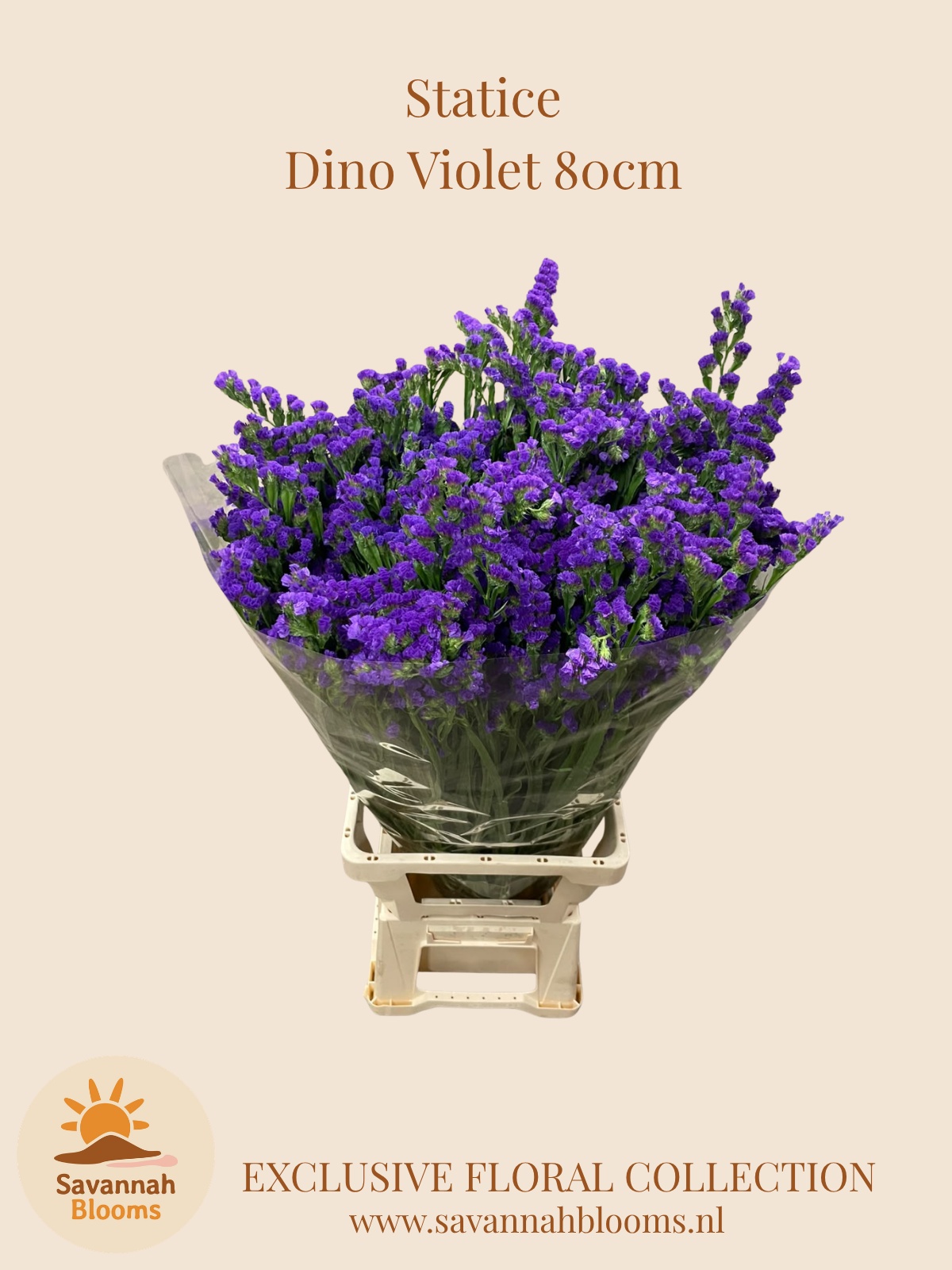 Lim S Dino Violet 80cm 75gram