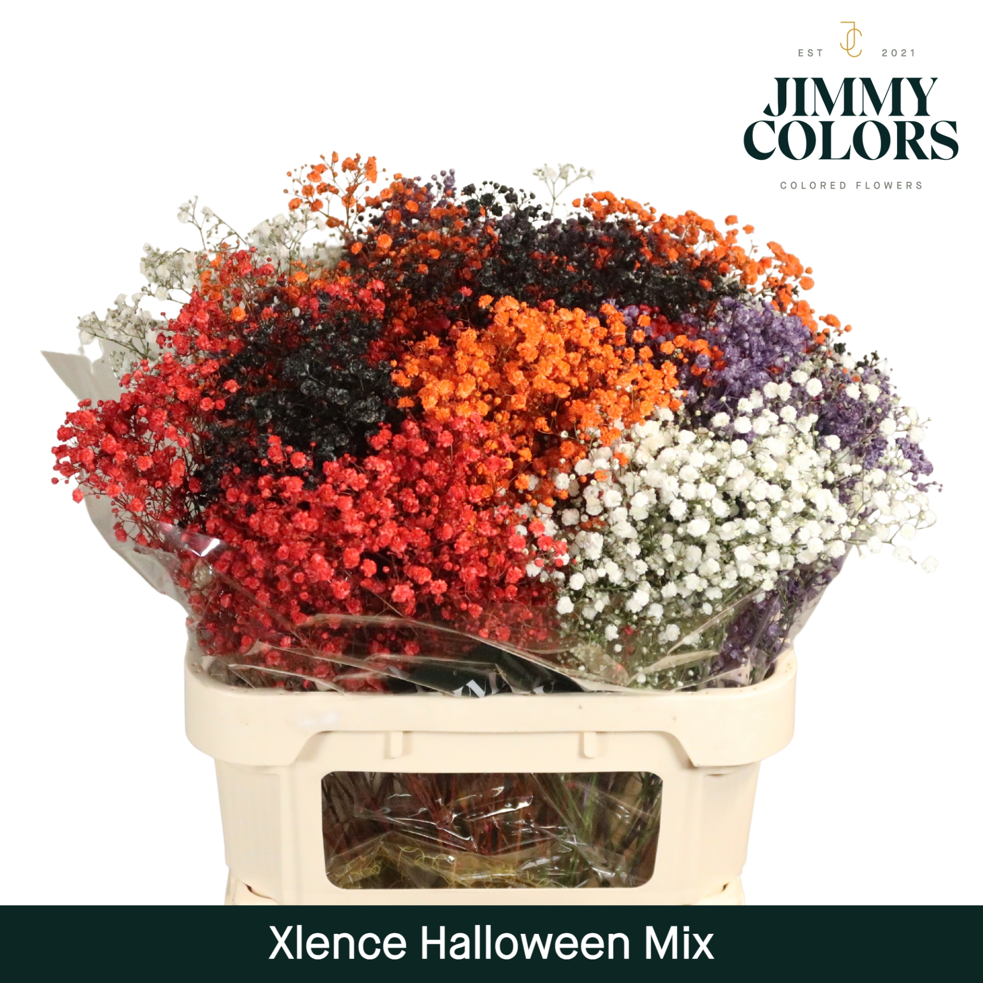 Gyps Xlence L80 Halloween Mix