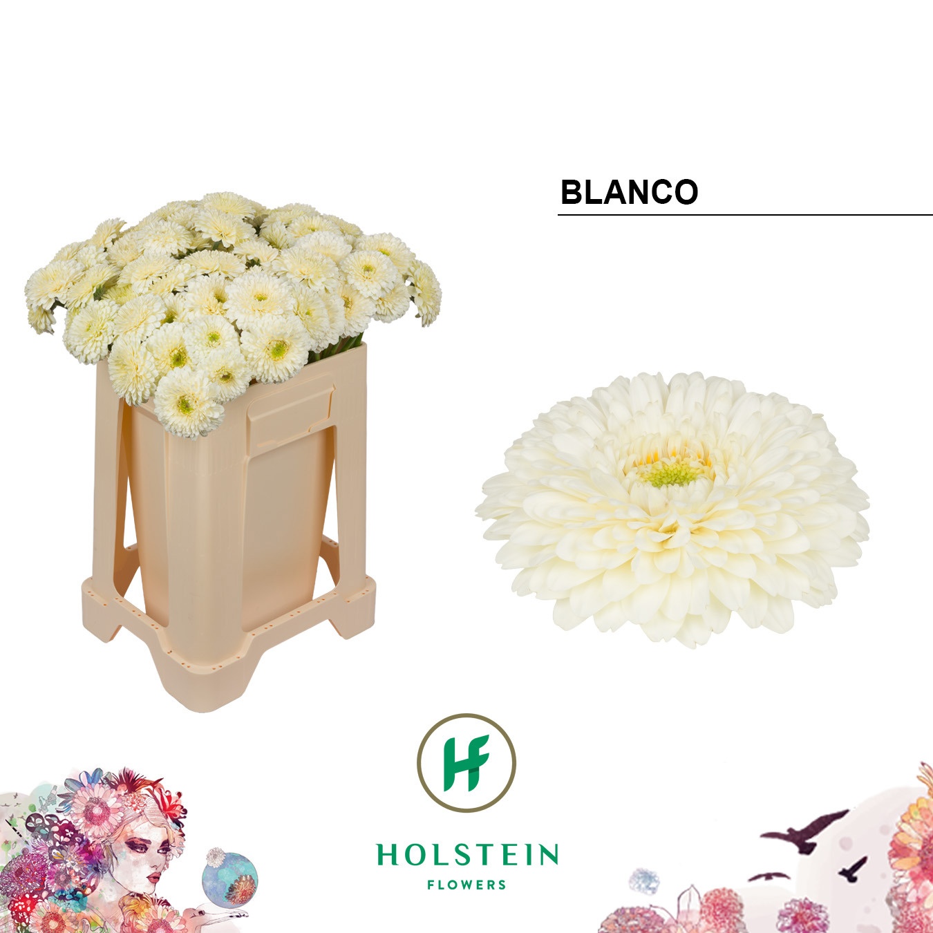 Ge Mb Gerponi Blanco