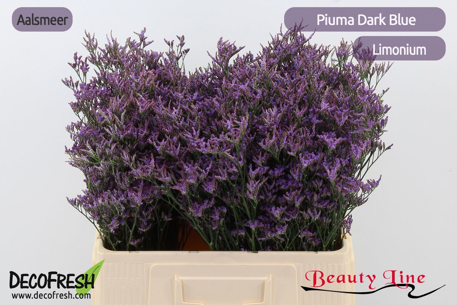 Lim Piuma Dark Blue