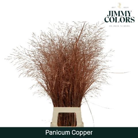 Panicum L90 Mtlc. Copper