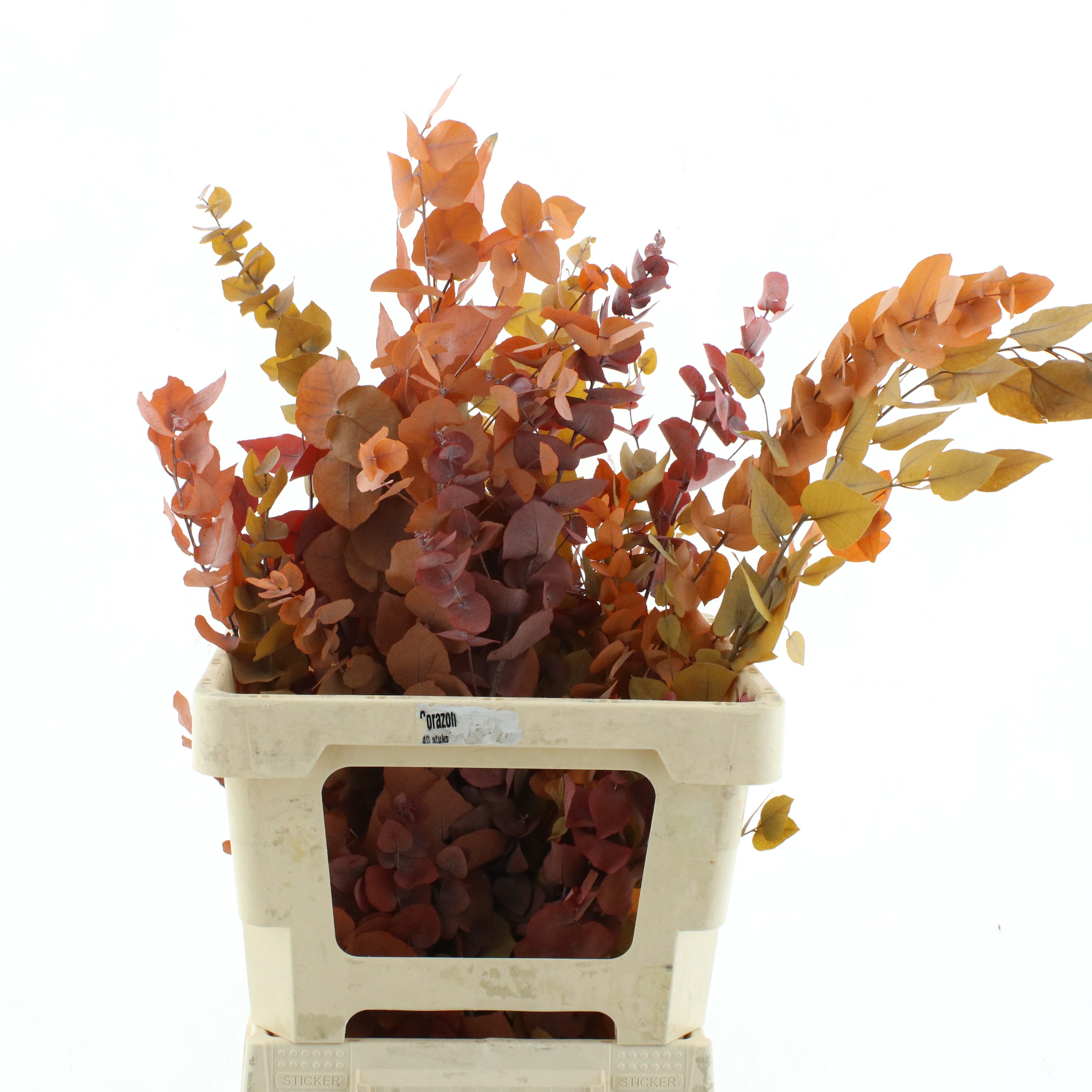 Decorgroen Klb Bs H%