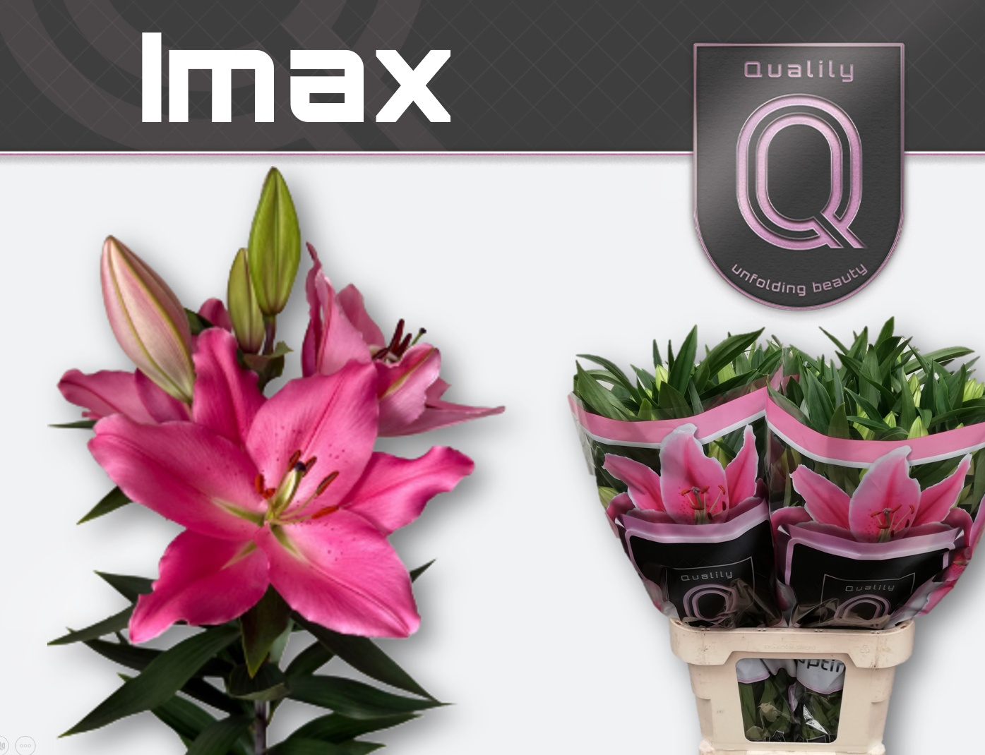 Li Or Imax 80cm 3/5bl