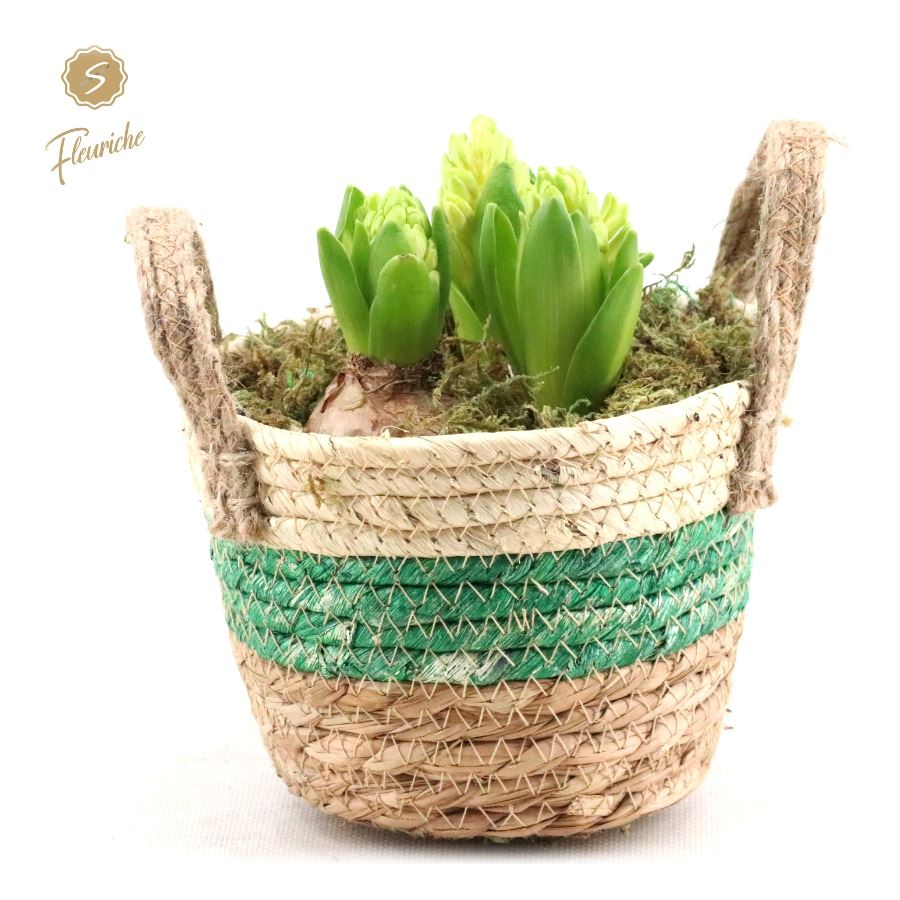 Picture of (DN540) Hyacint Straw Basket [L] P13 20CM