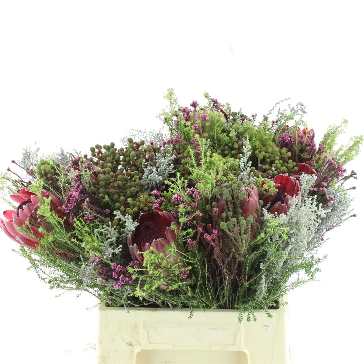 Protea Bouquet Per Bunch 40cm