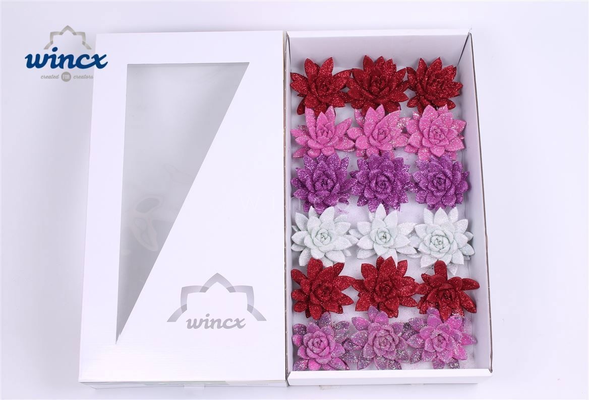 Echeveria Glitter Love Mix (wincx) Cutflower (bio)