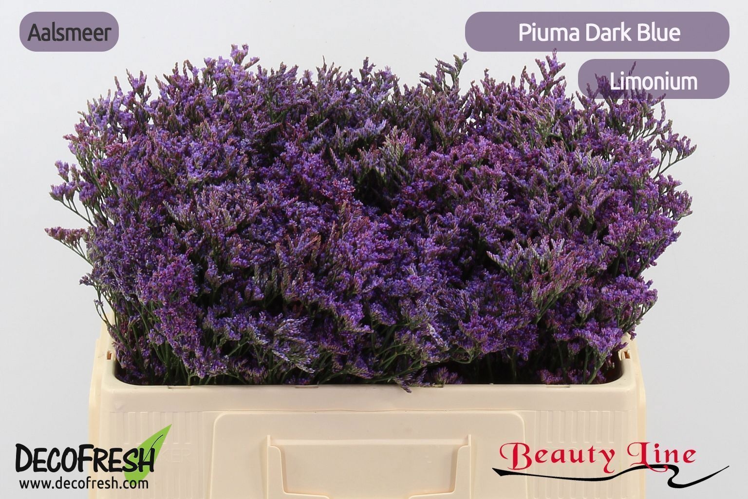 Lim Piuma Dark Blue