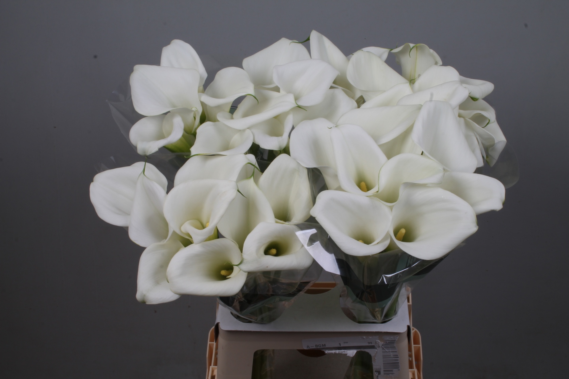 Calla White Art 65cm