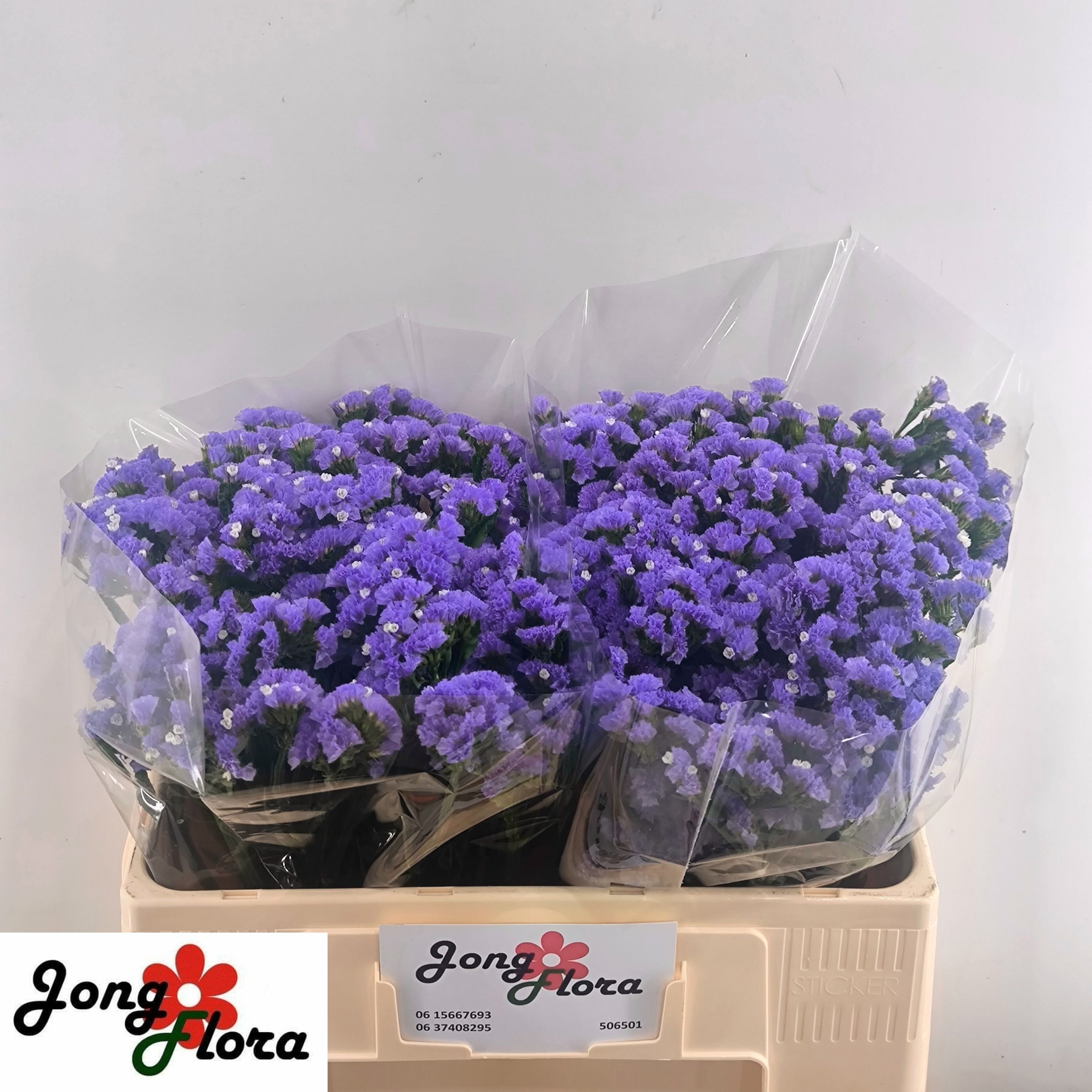 Lim S Midnight Wings 50cm 20gram