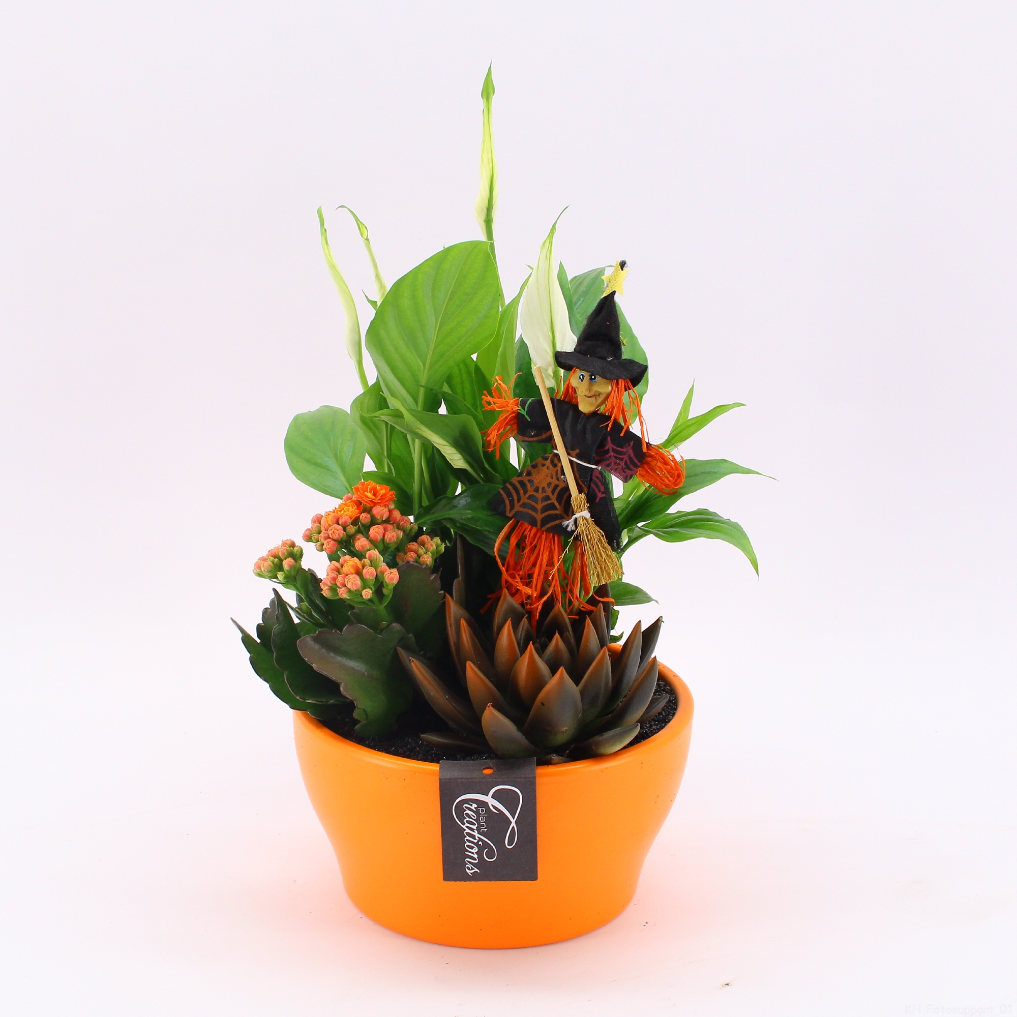 Picture of HWCR-2406 Halloween arrangement P19 35CM