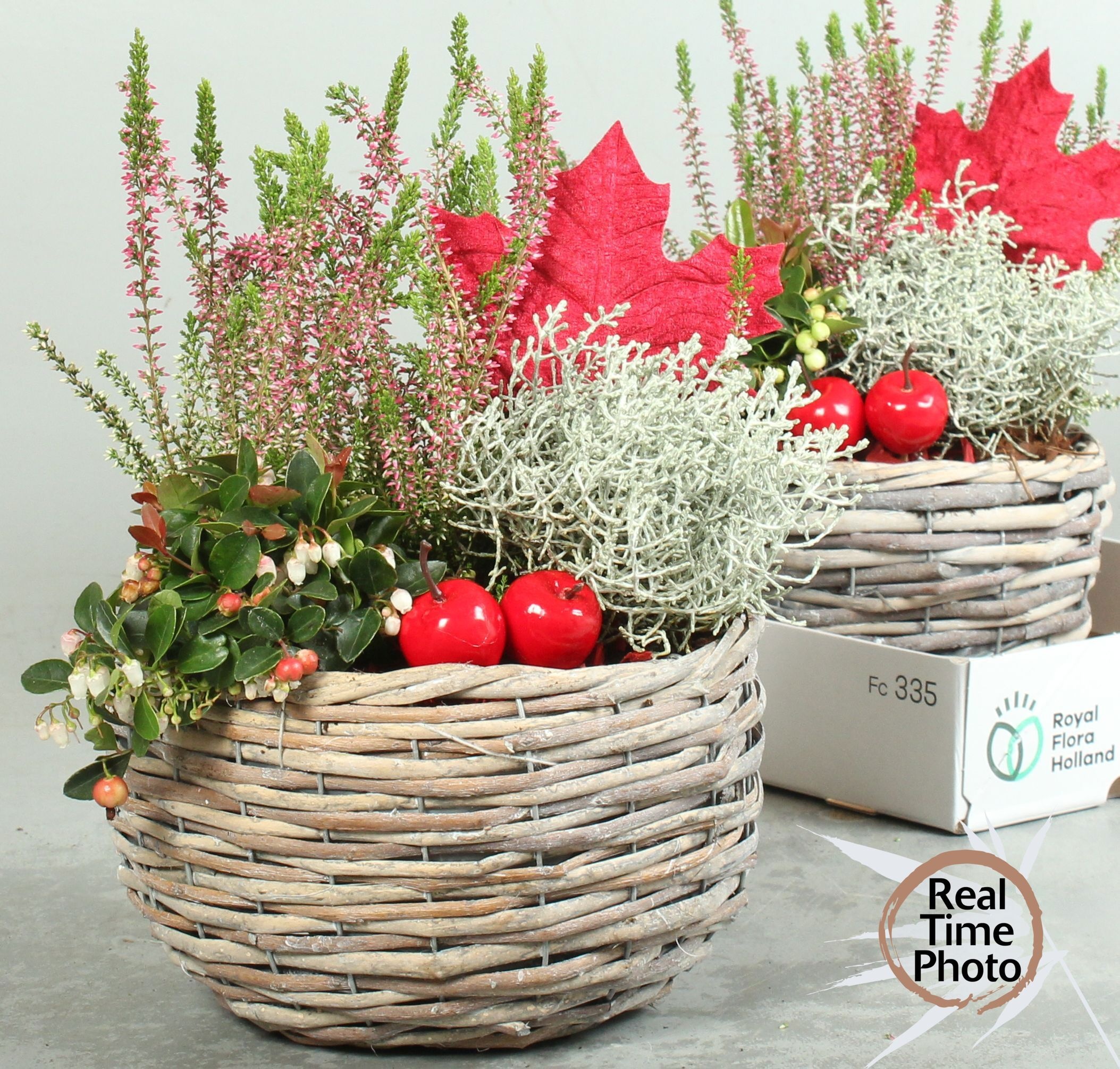 Arr Tuinplanten 23P 40cm