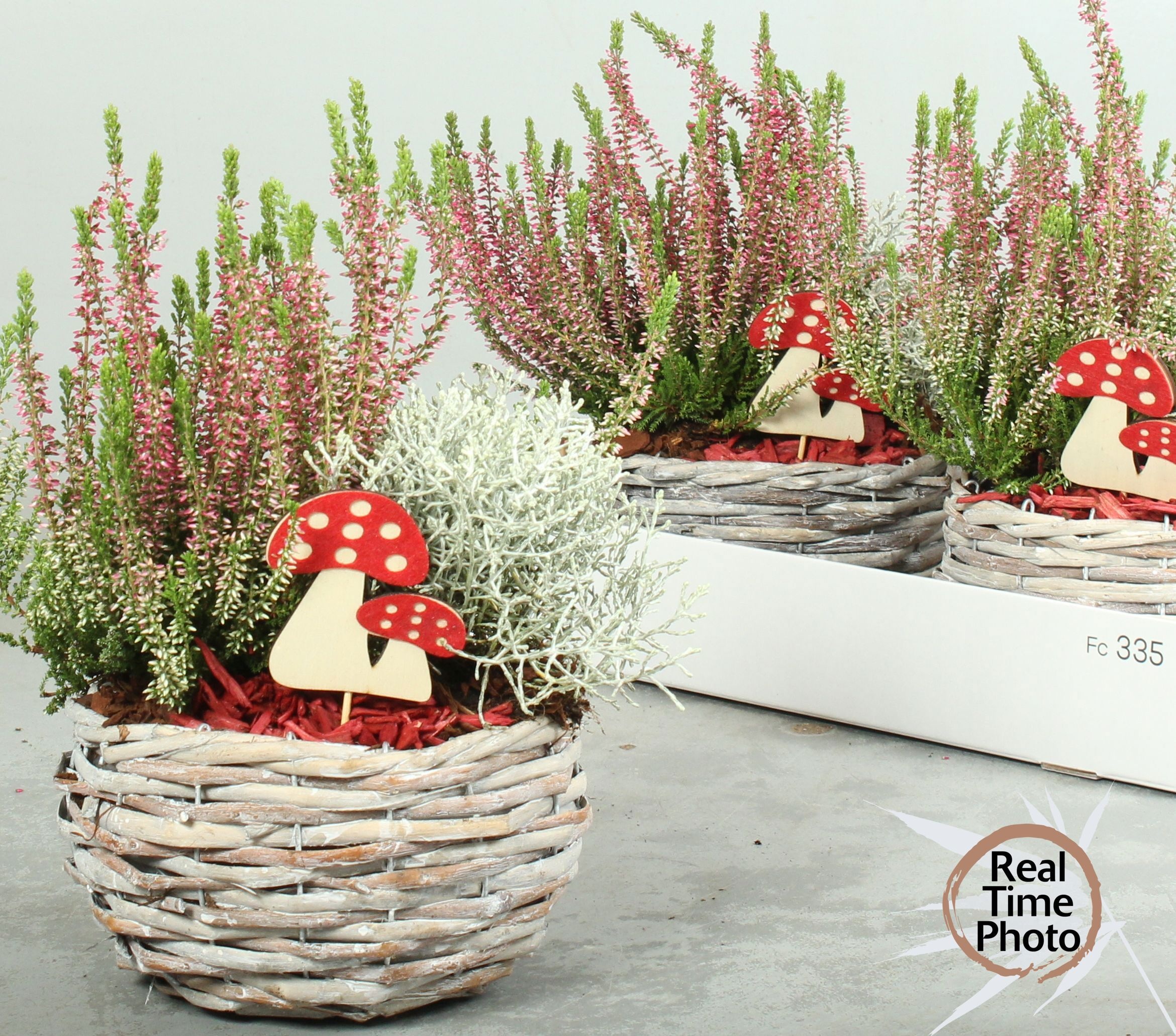 Arr Tuinplanten 18P 35cm