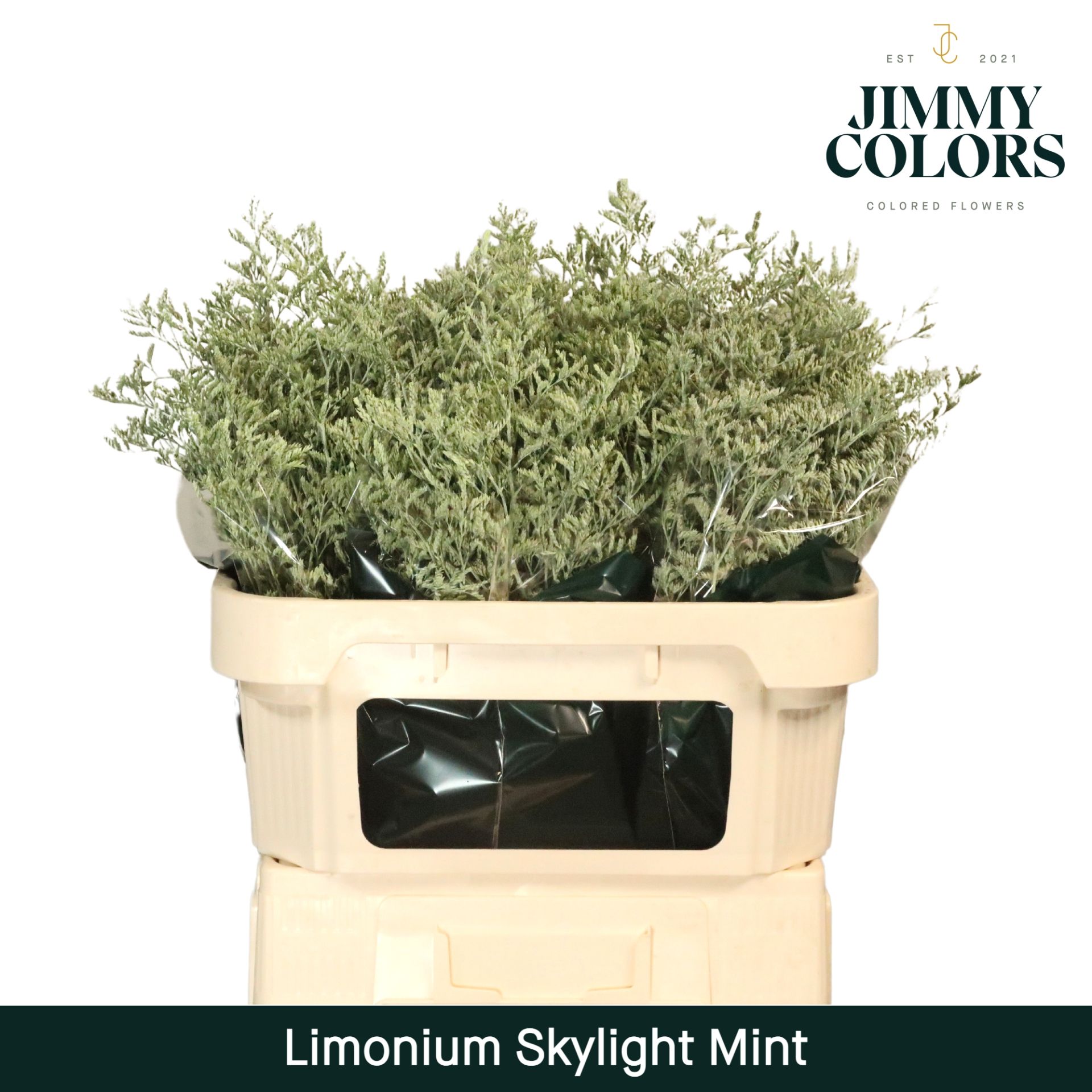 Lim Skylight L70 Mint