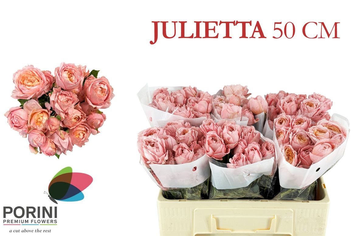 R Tr Julietta