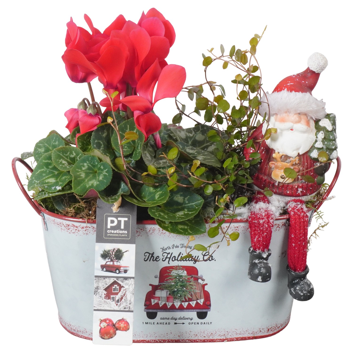 Picture of PTKB9428 Arrangement X-Mas in zinc pot P23 27cm