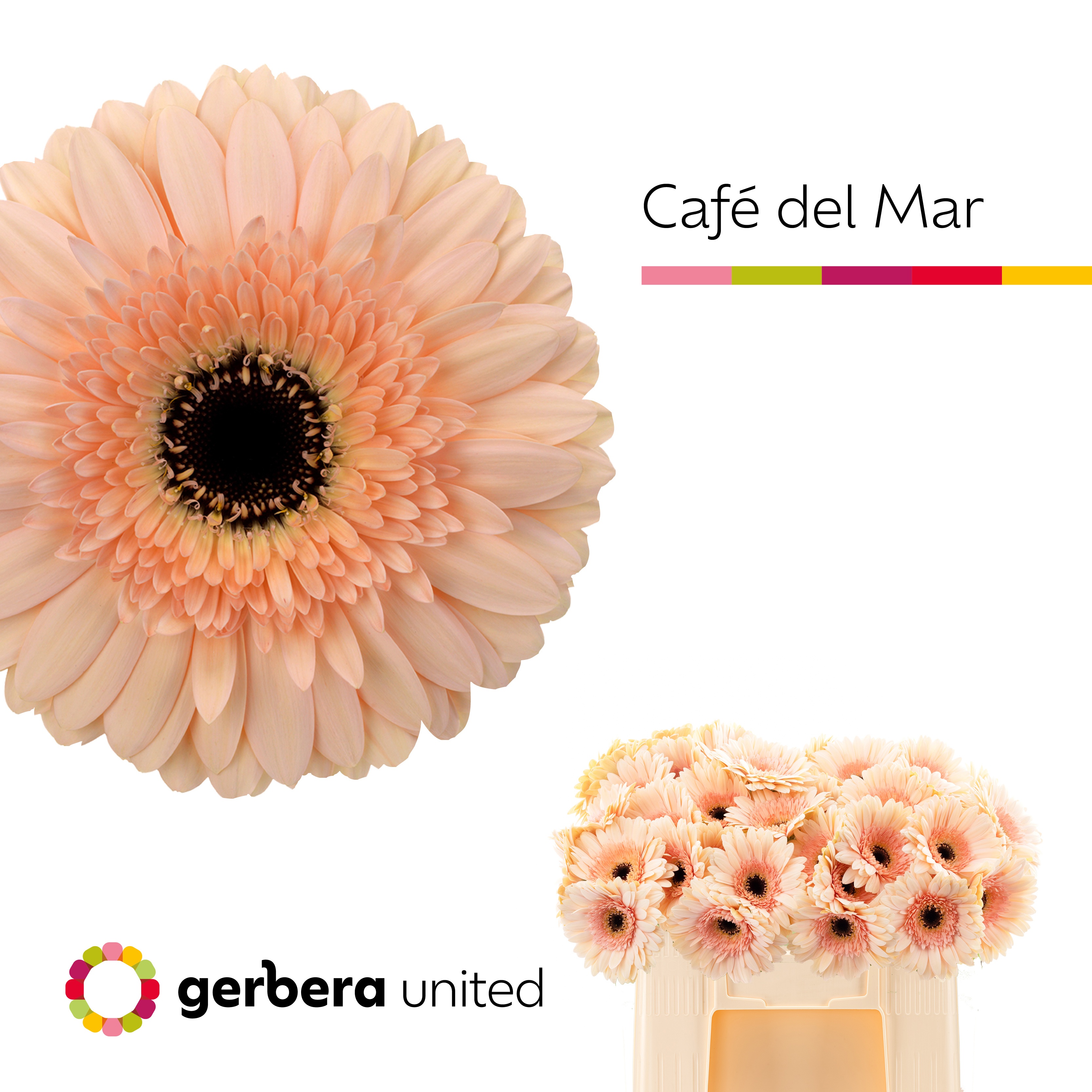Ge Gr Cafe Del Mar