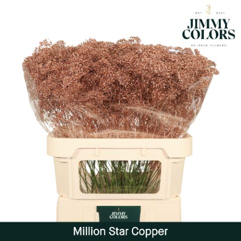 Gyps Million Star L80 Metallic Copper