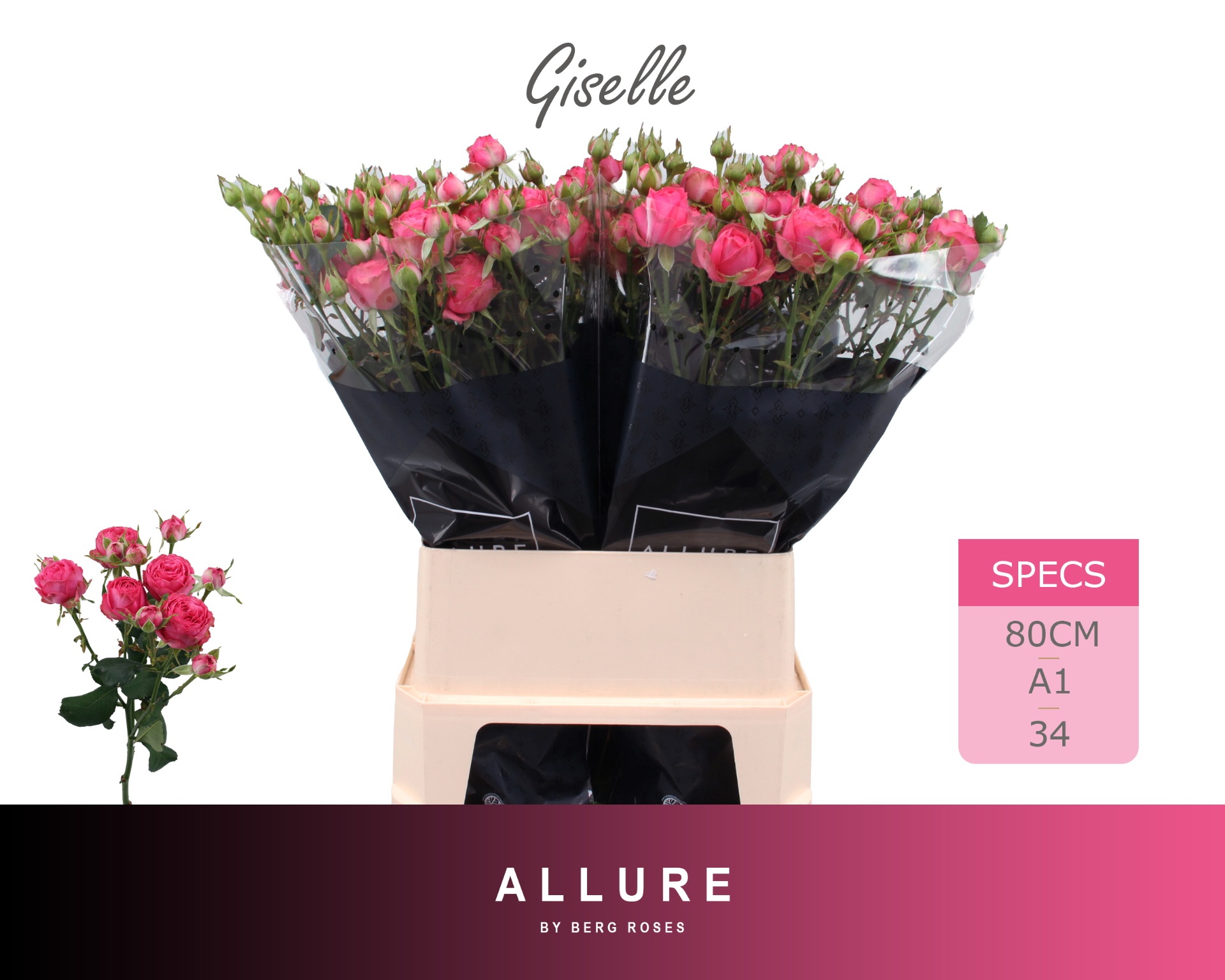 Rosa Spr Giselle 80cm