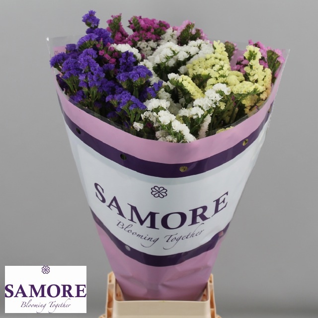 Limonium St Mixed 80cm 50gram