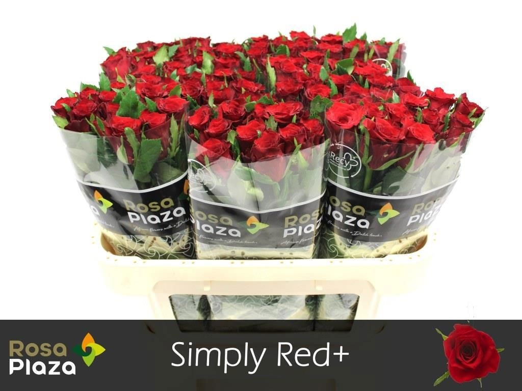 R Gr Simply Red+