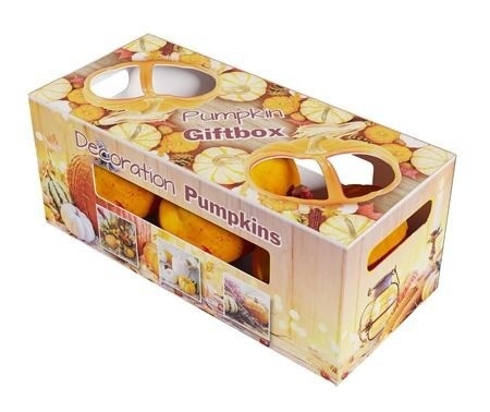 Cucurbita Pepo