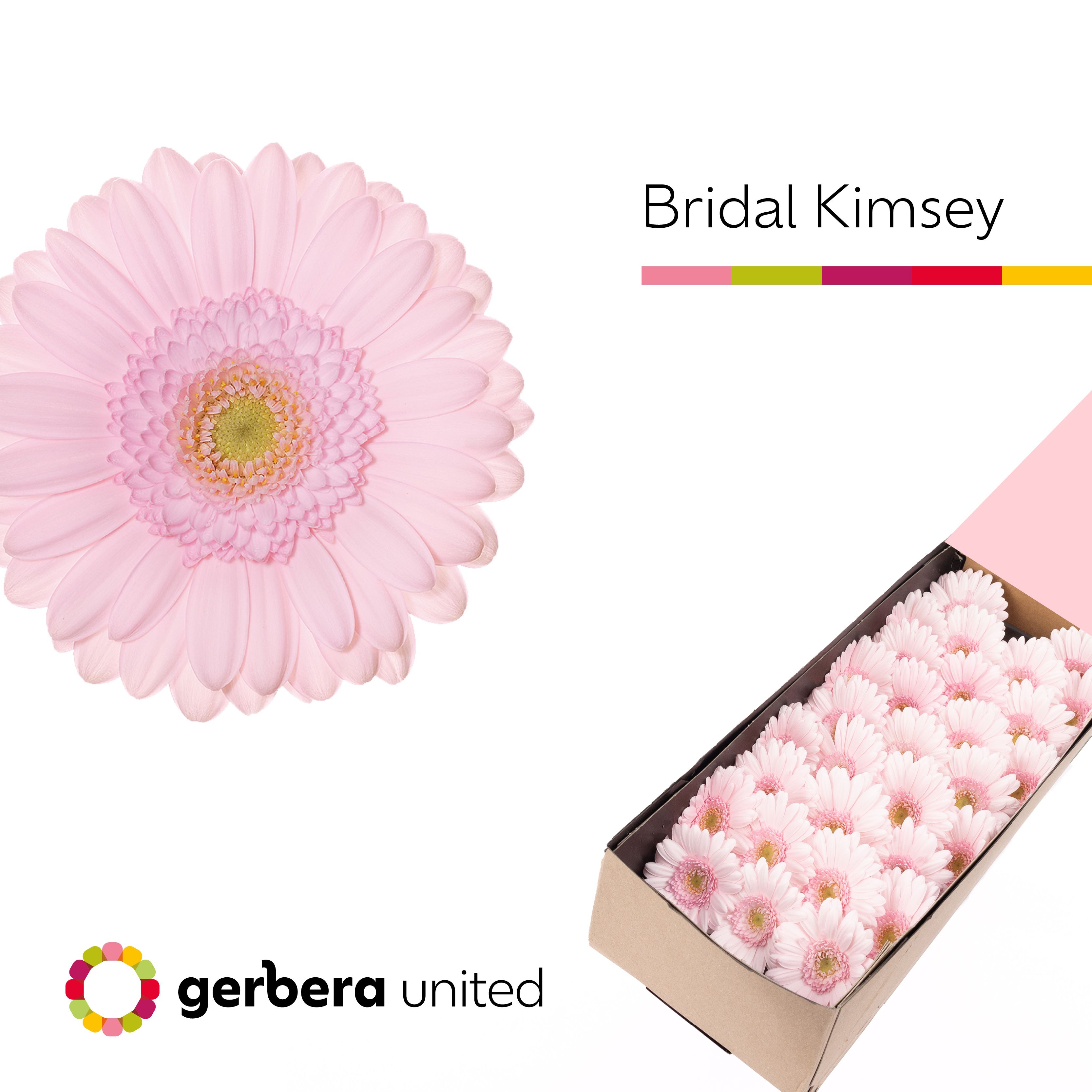 Ge Mi Bridal Kimsey