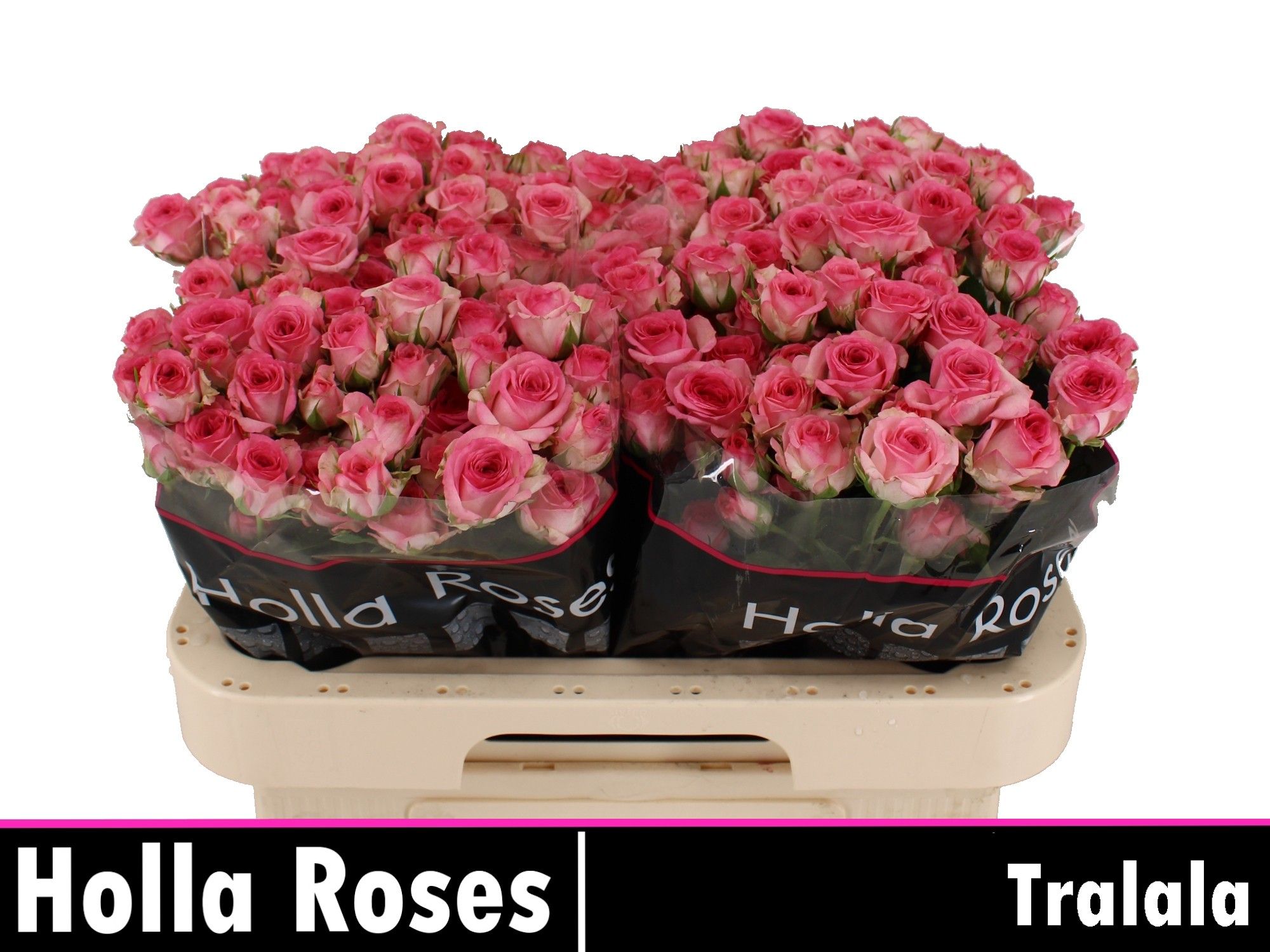 R Tr Tralala