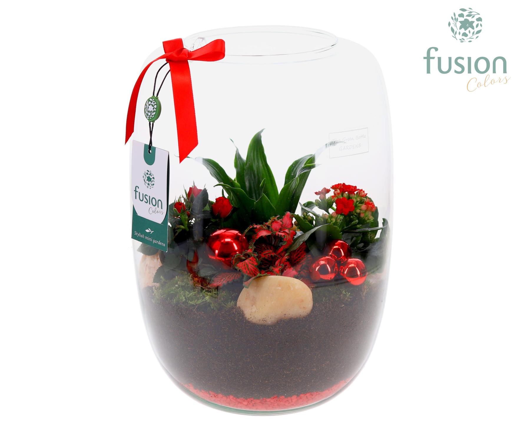 Picture of X-Mas arrangement Green Bottle Isabella XLarge FC-24.0058FDH P25 29CM