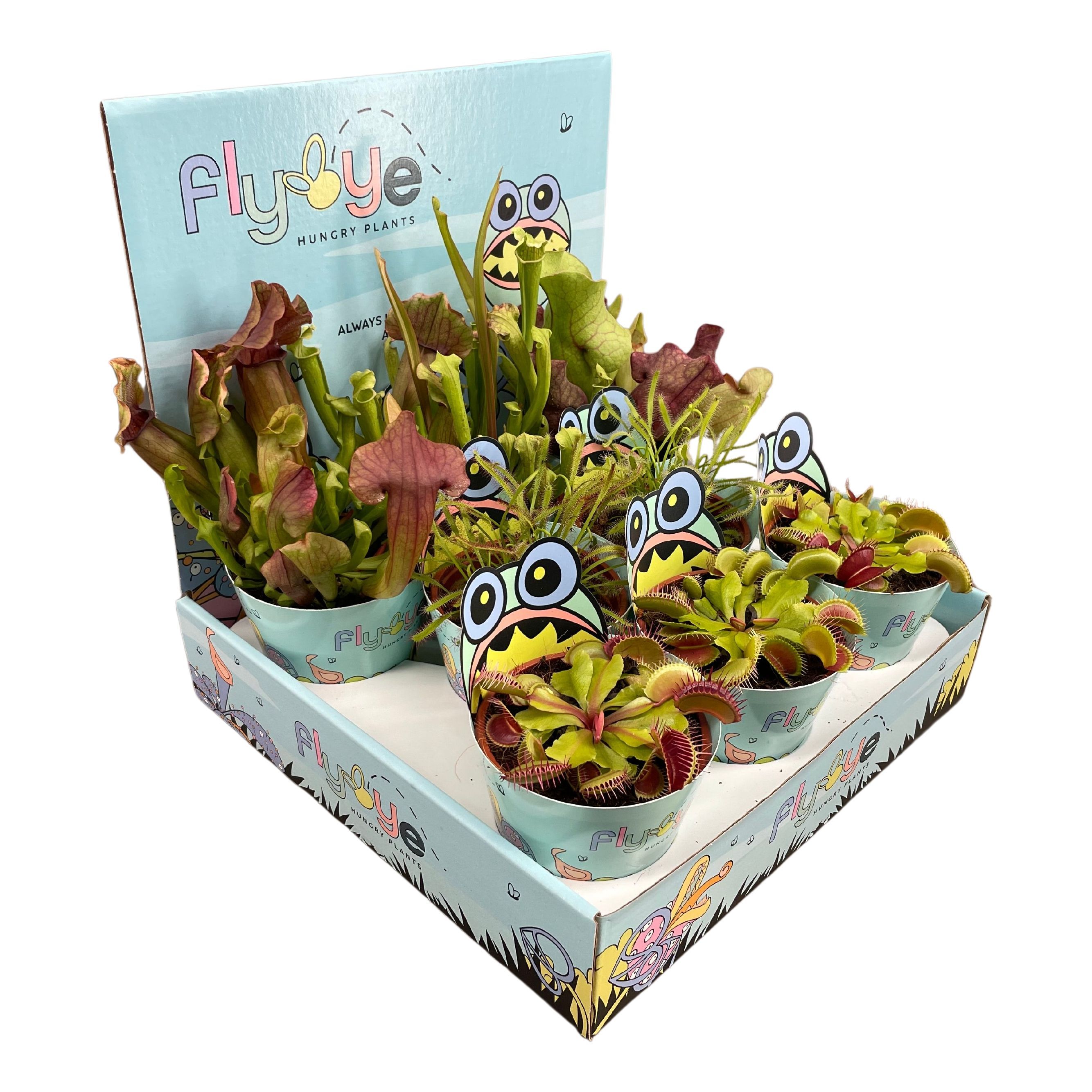 Vleesetende Planten 508P 20H