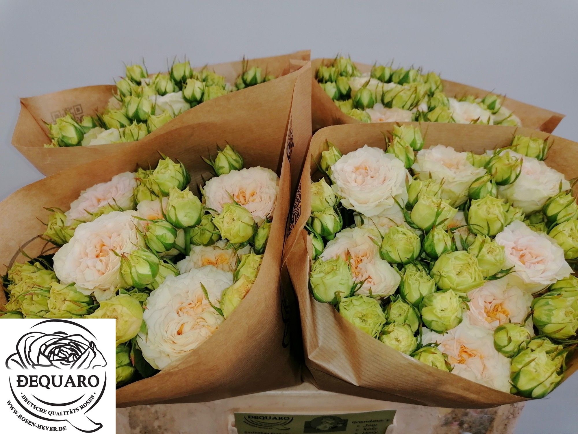 R Tr Grandma F Lilly 50cm