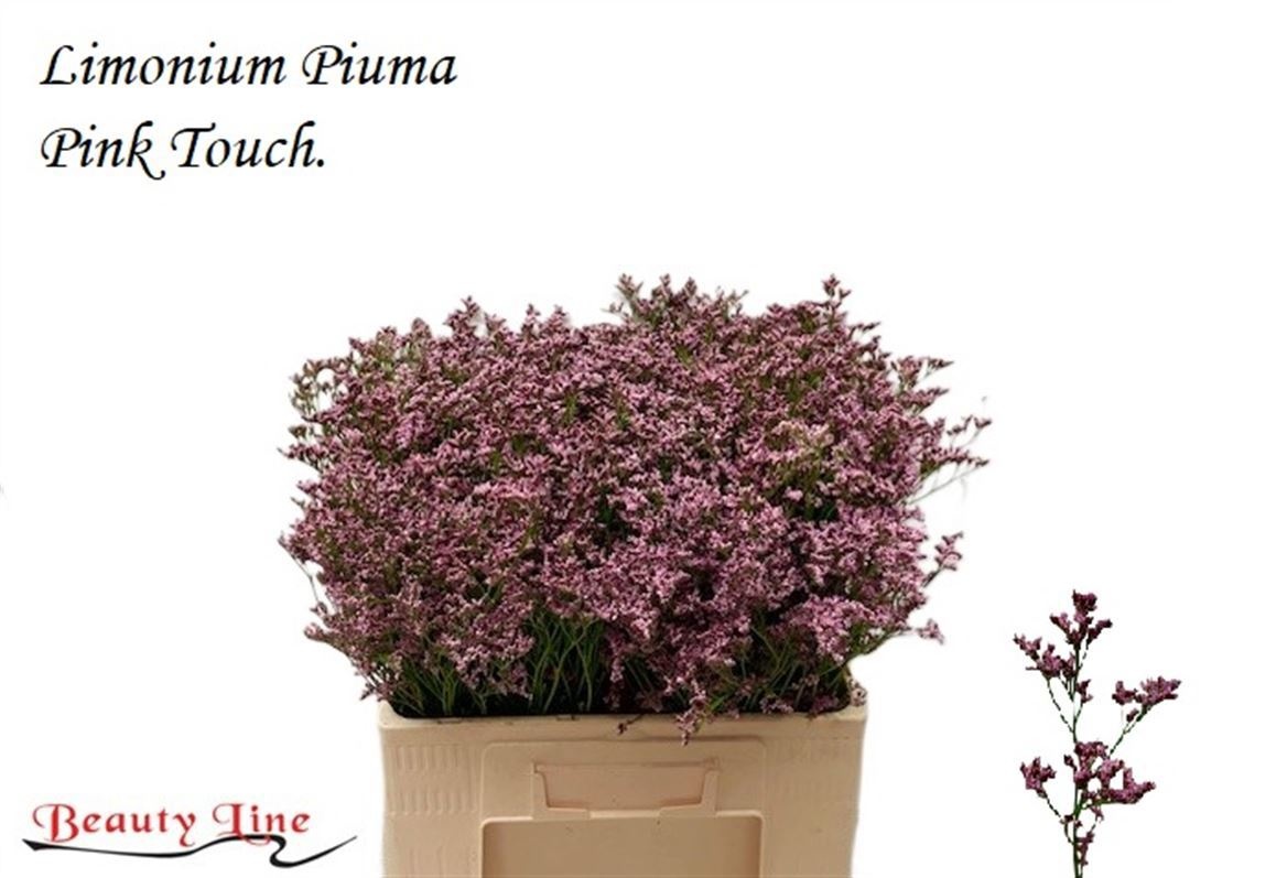 Lim Piuma Pink Touch