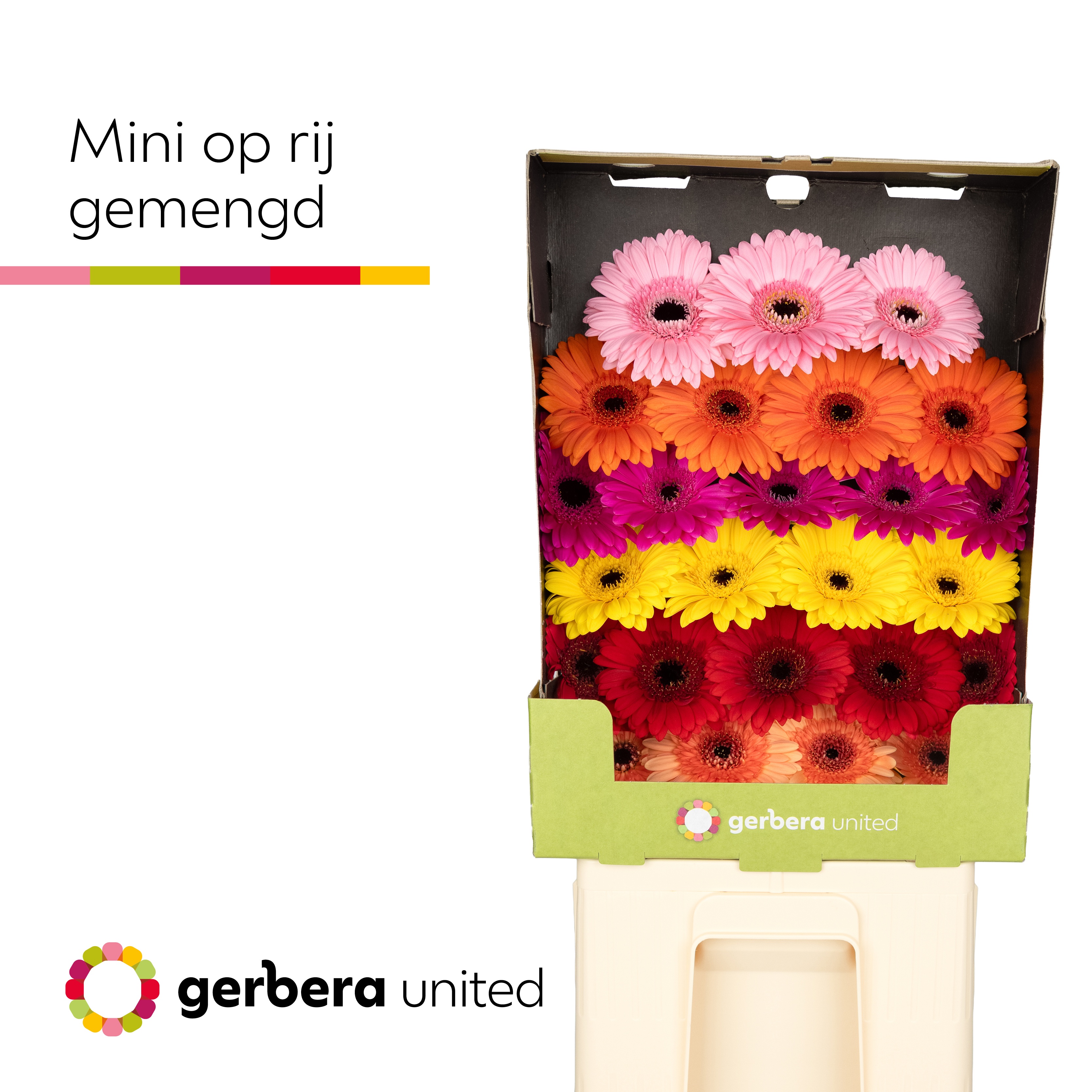 Ge Mi Op Rij Gem