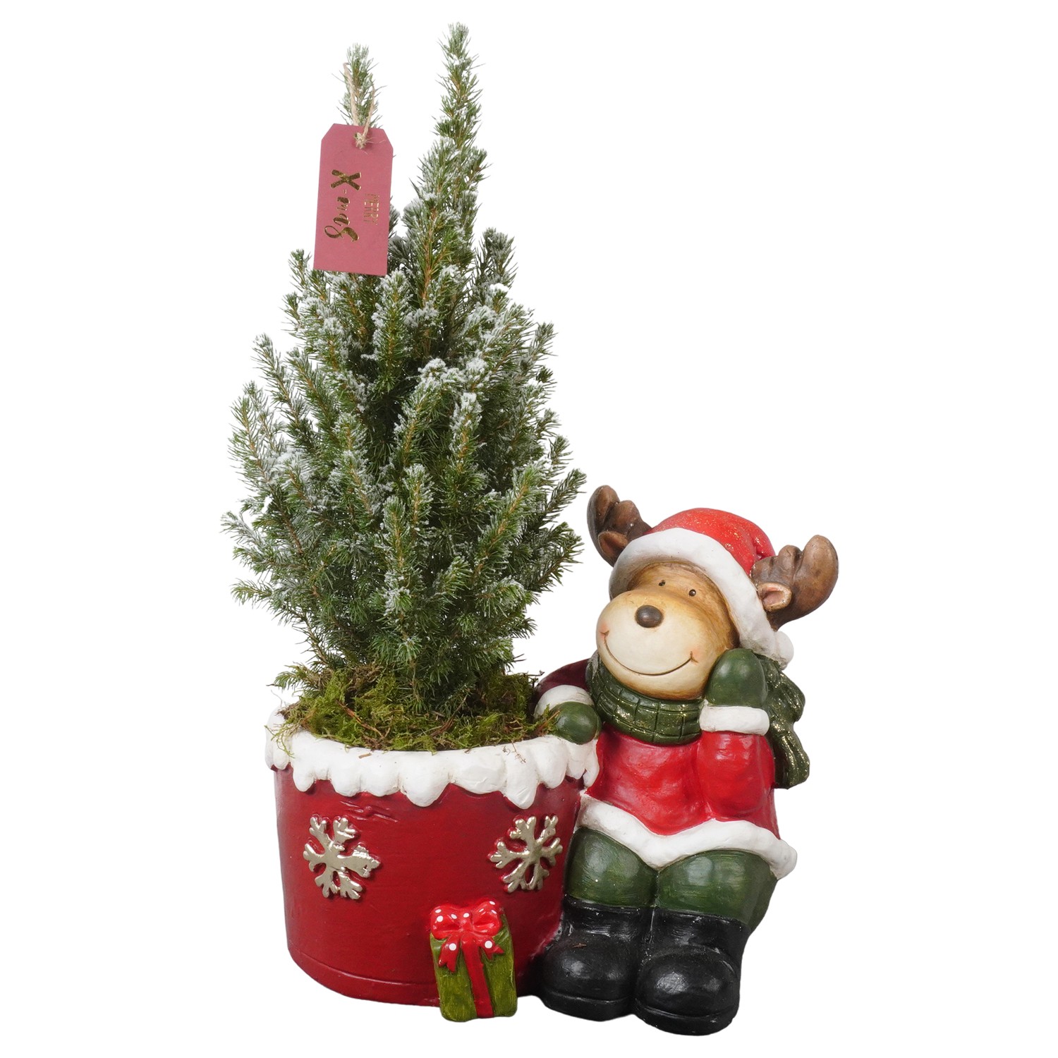 Picture of PTK24528 Picea Conica Perfecta with snow in ceramic pot decoration P15 50CM