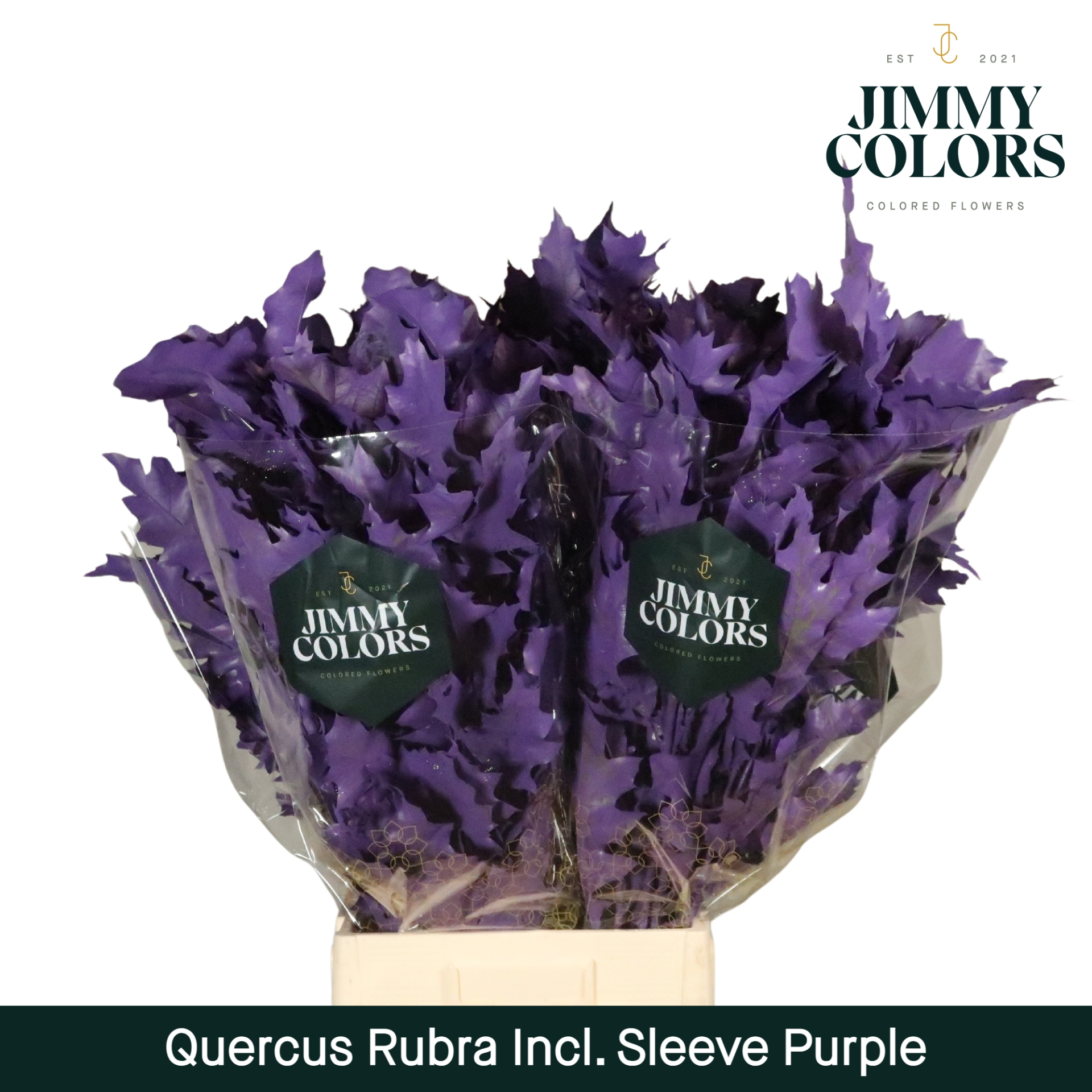 Quercus Rubra Sleeve L80 Purple