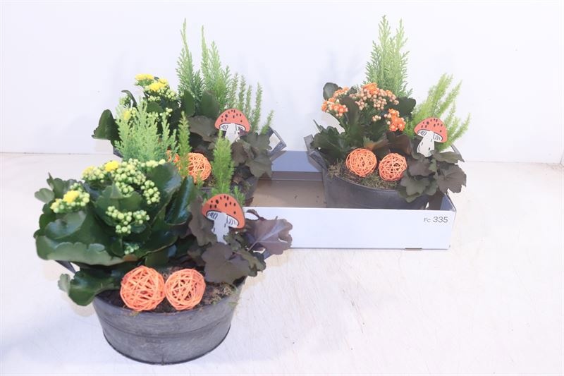 Arr Tuinplanten 23P 30cm