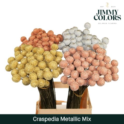 Craspedia L70 Metallic Mix