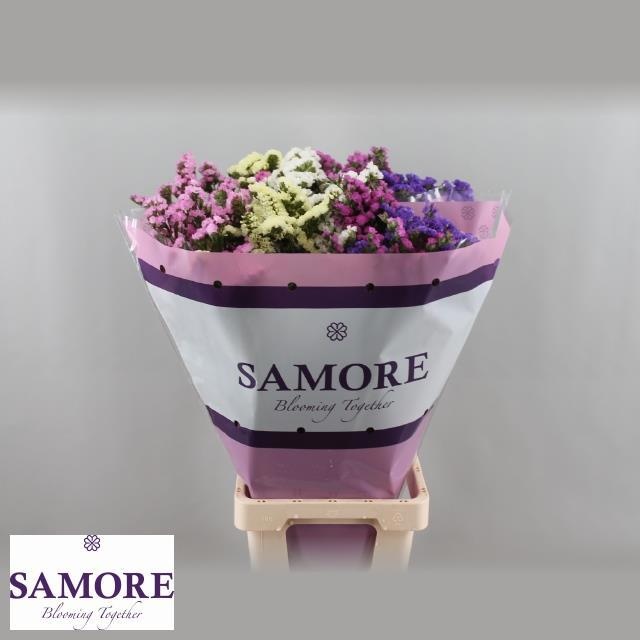 Limonium St Mixed 80cm 60gram